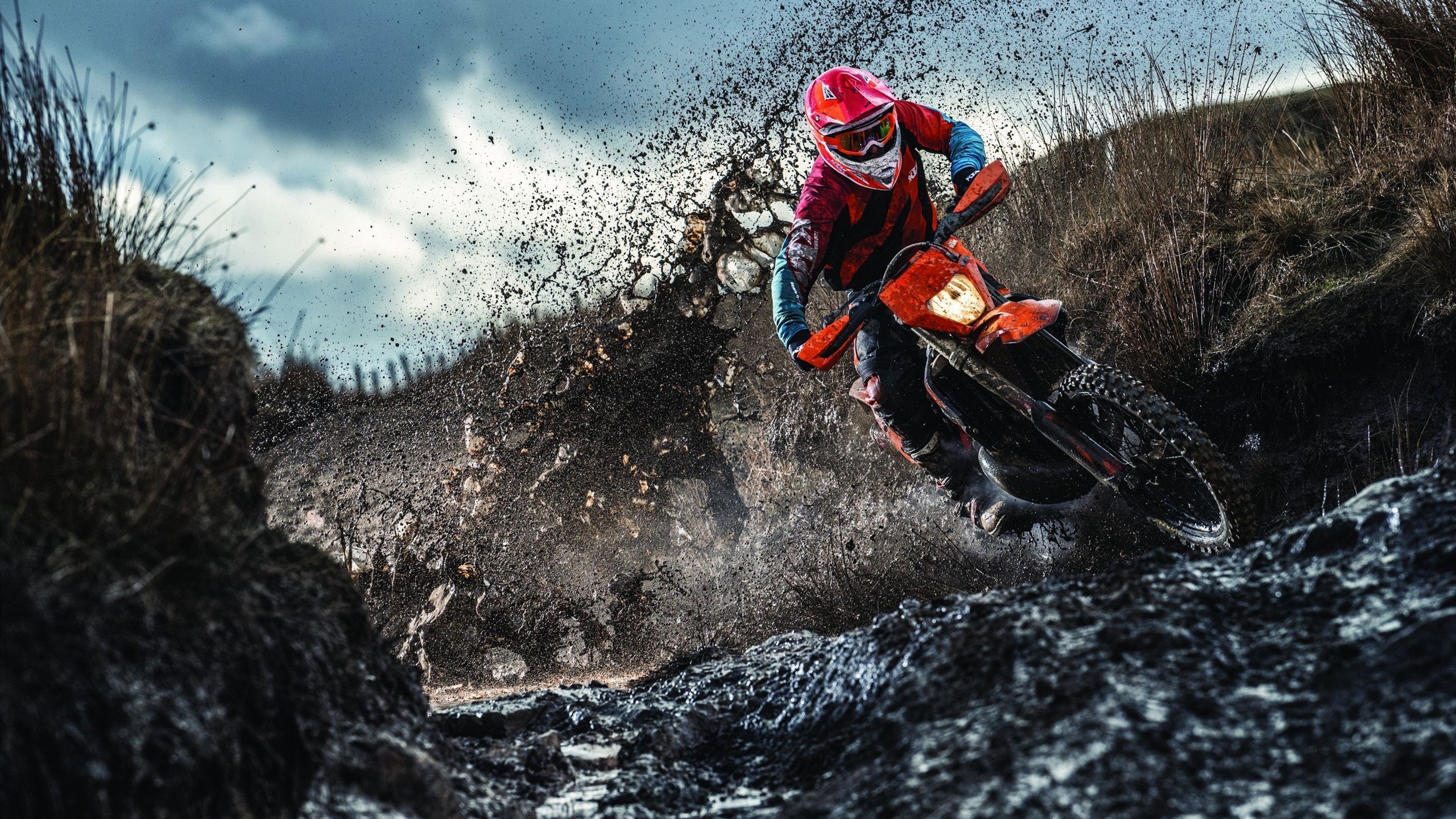 南非羚羊队:以强悍防守为基础,他们掌控着比赛节奏,南非大羚羊主要分布哪里