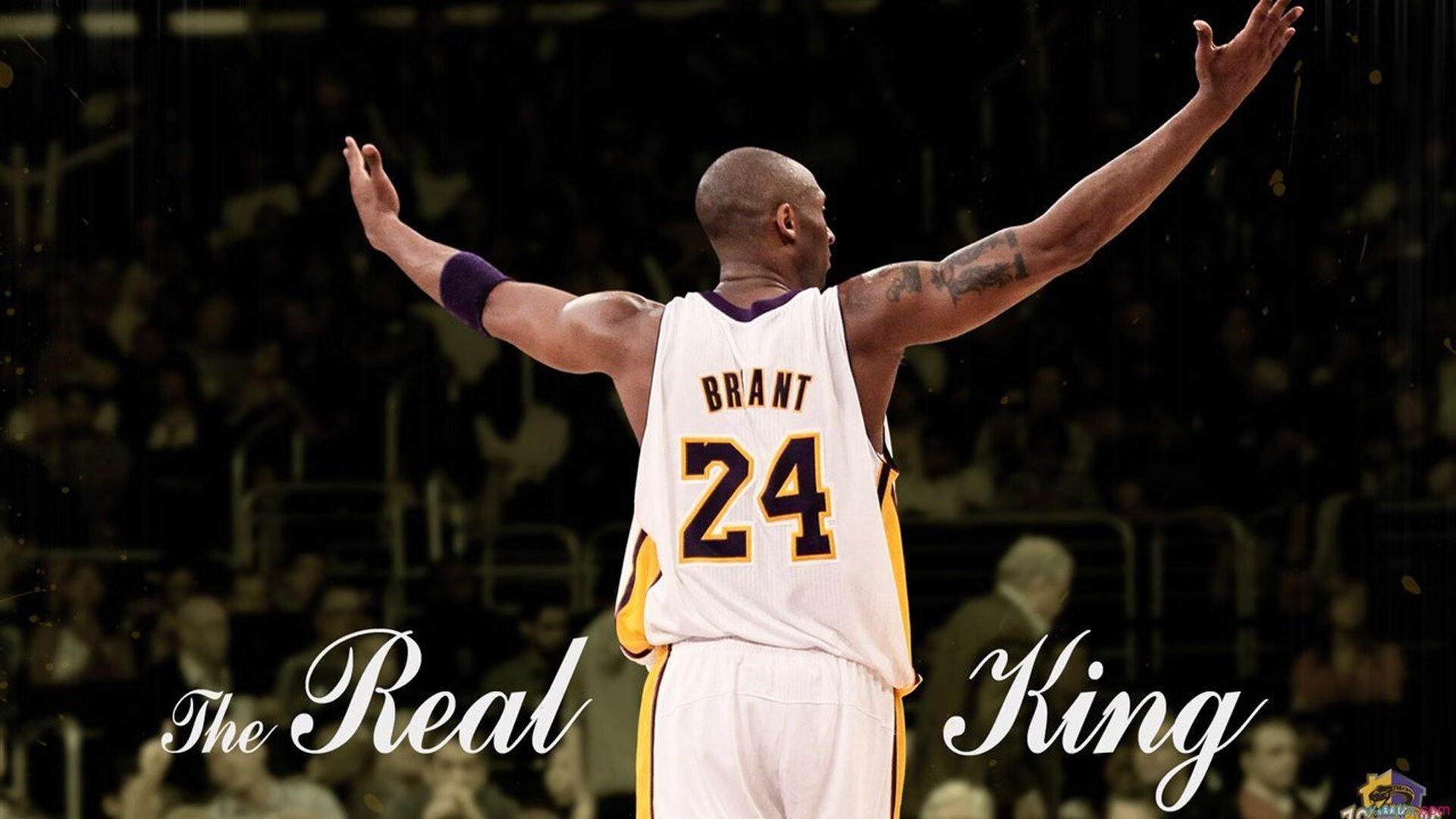 《王者荣耀》年度星耀之战，世界顶尖战队大对决！，星耀是哪个赛季加入的